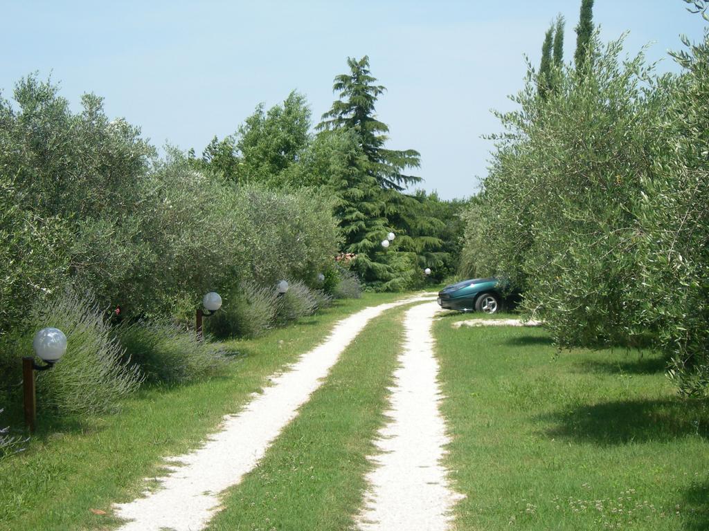 Vista Assisi Bed & Breakfast Exterior photo